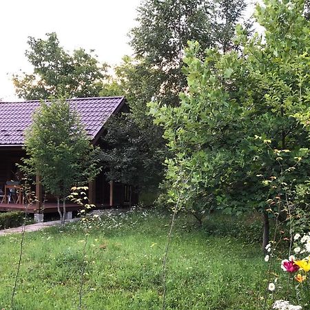 Галіція Vila Beloberezka Exterior foto