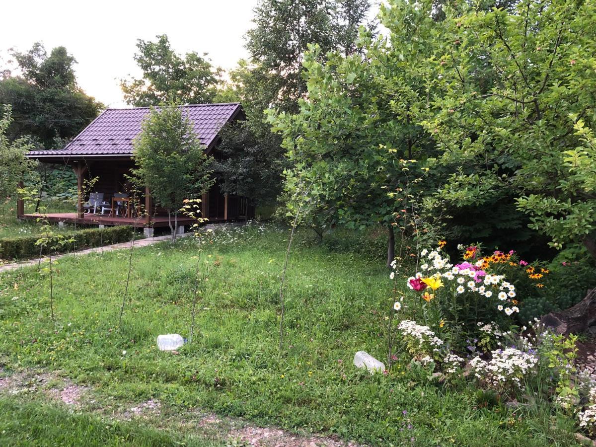 Галіція Vila Beloberezka Exterior foto